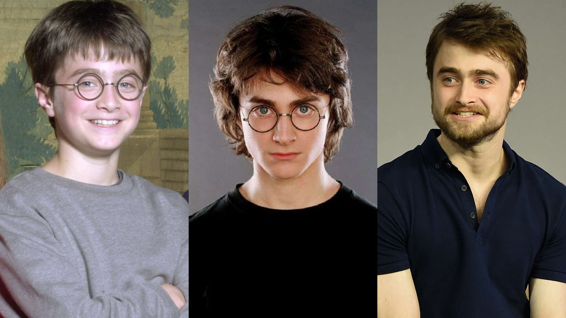 Harry Potter evolution